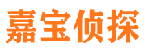 精河调查事务所